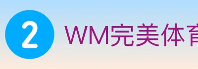 WM完美体育 Logo